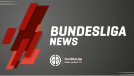 Bundesliga 1